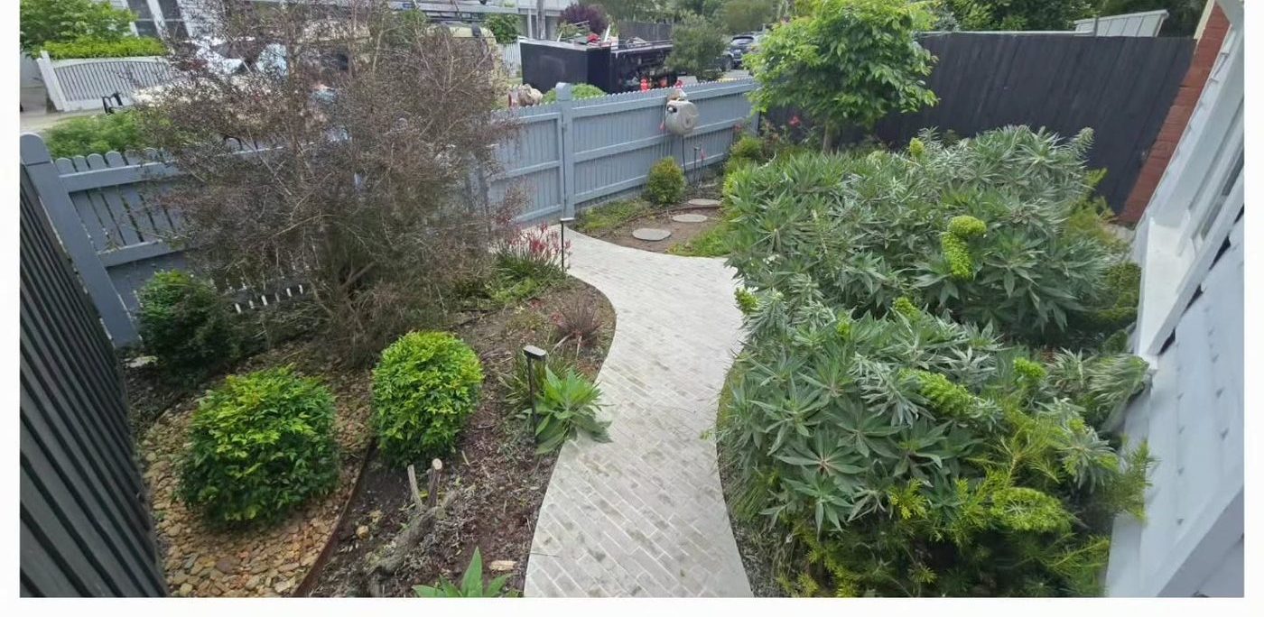 Lush layered native garden with a winding brick path